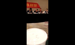 副部经理罗成石做工作述职报告3